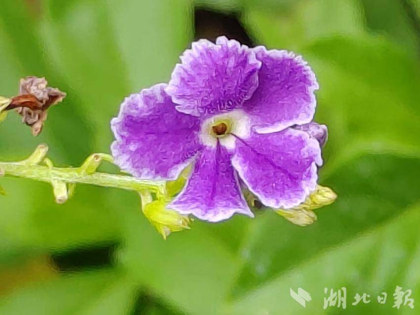 ek平台代币